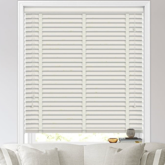 PVC Blind